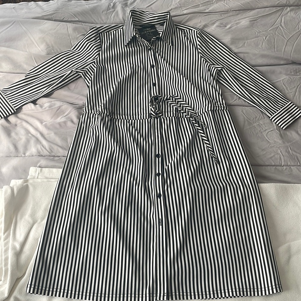 Mlle Gabrielle Black and White Striped Collared Dress